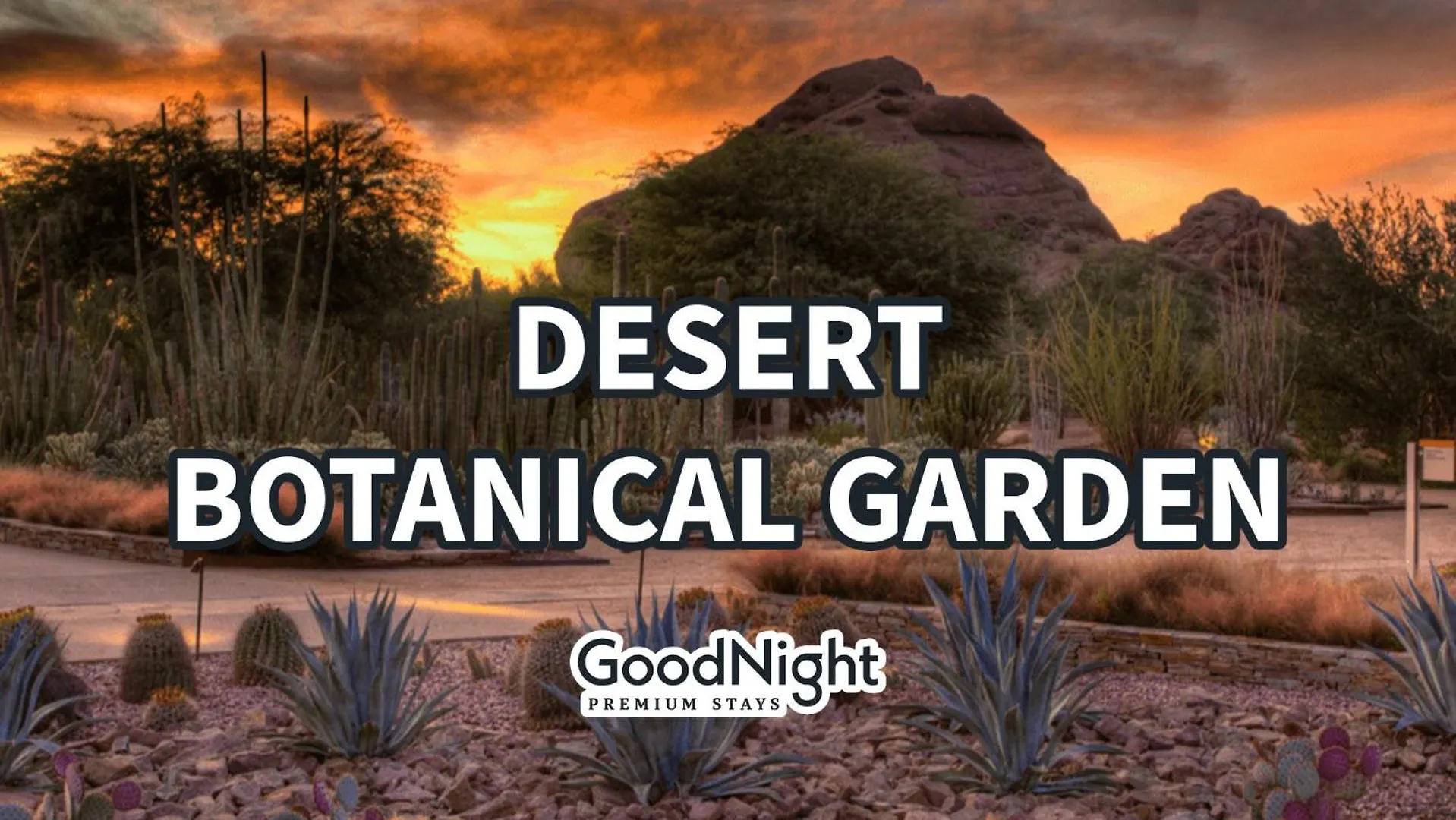 The District - Hot Tub - Heart Of Old Town Villa Scottsdale